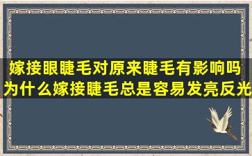 嫁接眼睫毛对原来睫毛有影响吗 为什么嫁接睫毛总是容易发亮反光